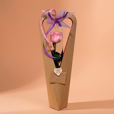 Rosa preservada Día de la Madre | Regalo eterno elegante para mamá