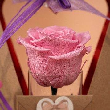 Rosa preservada Dia de la Mare | Regal etern elegant per a la mare