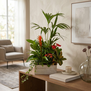 Grup de Plantes Luxury | Decoració Natural Premium per a Llar o Oficina