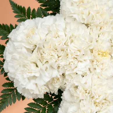 Comprar Cruz de Claveles Blancos en Barcelona | Flores para Difuntos 2