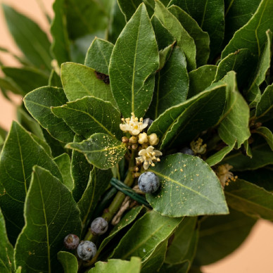 Comprar Corona de Laurel en Barcelona | Flores para Difuntos 2