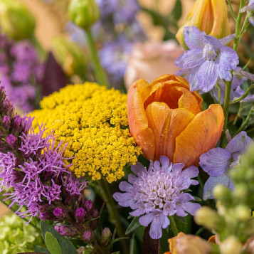 Ram Big Garden 50€ | Flores Navarro Barcelona