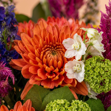Ram M-Style 60€ | Flores Navarro Barcelona 2