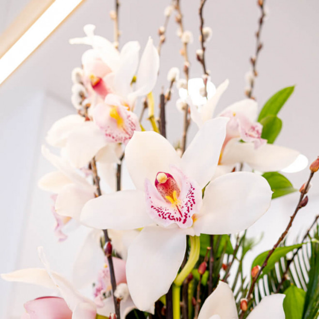 Comprar Cistella rústica orquídea Barcelona