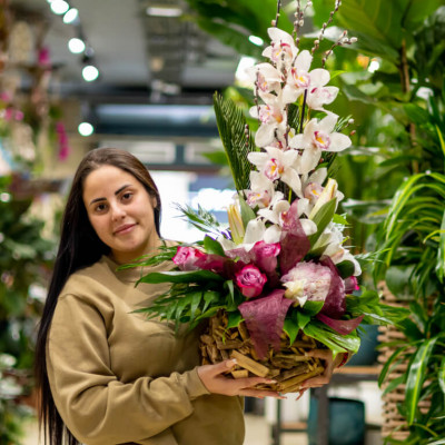 Comprar Cistella rústica orquídea Barcelona