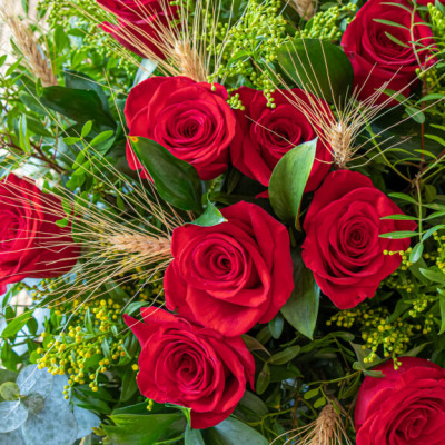 Comprar Ram de 12 roses vermelles Sant Jordi Barcelona