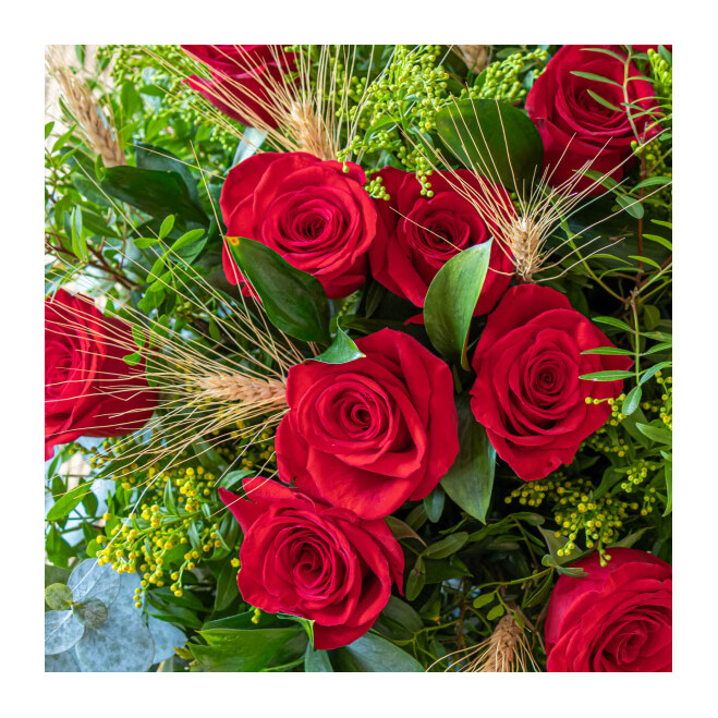 Comprar Ram de 12 roses vermelles Sant Jordi Barcelona
