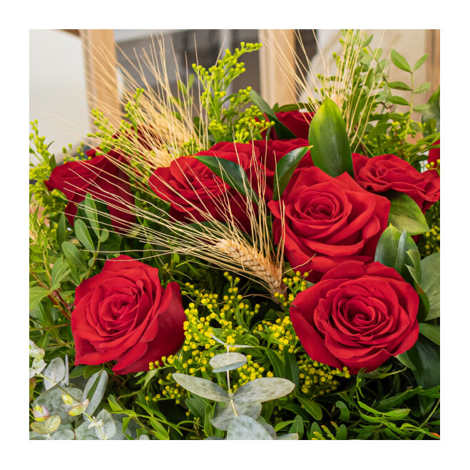 Comprar Ramo 12 rosas rojas Sant Jordi Barcelona