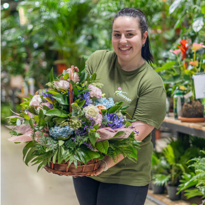 Comprar Cistella estiuenca d'hortènsies Barcelona