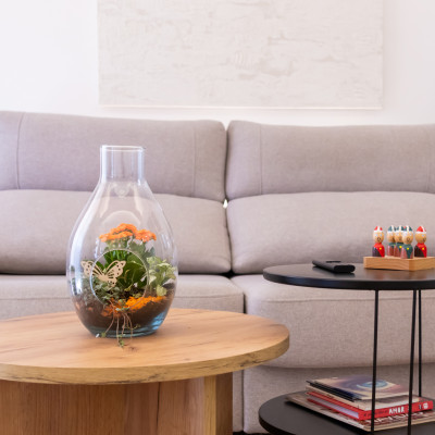 Comprar Terrari de planta mini variada Barcelona