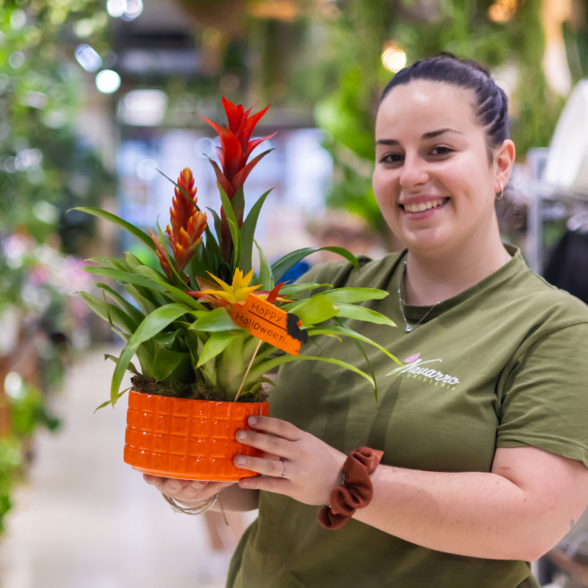 Comprar Composició de bromèlies en ceràmica Barcelona