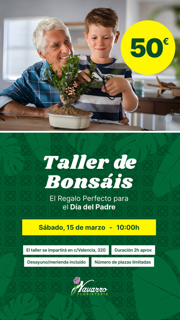 Taller de Bonsáis en Barcelona: El Regalo Perfecto para el Día del Padre