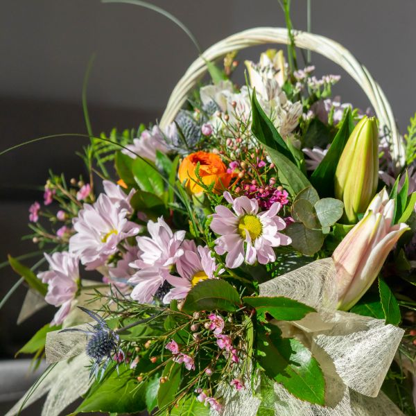 ¡Descubre las flores de Febrero!