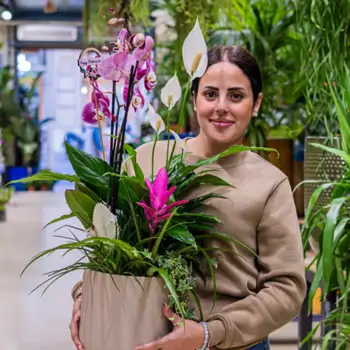 San Antonio Abad: Celebrando al Patrón de los Animales con Flores Navarro