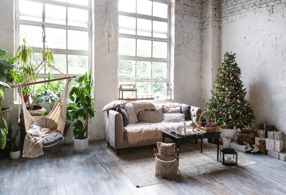 Las mejores plantas para esquinas fáciles de cuidar