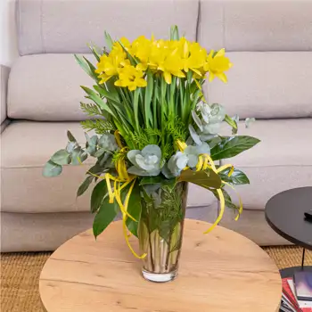 Flores de invierno: elegir y cuidar las mejores opciones para tu hogar