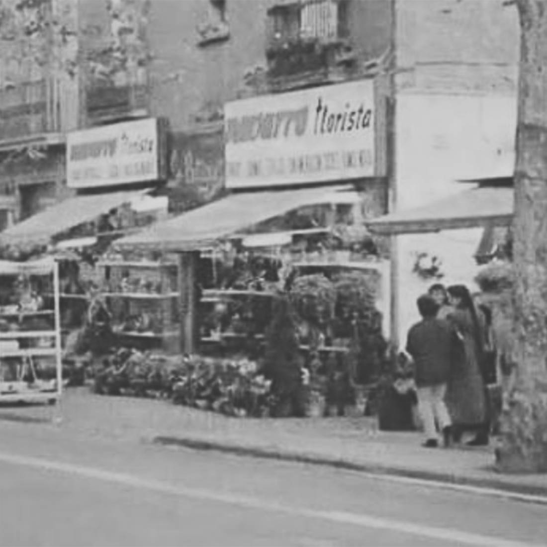 Entre flores desde la cuna: la historia detrás de este blog