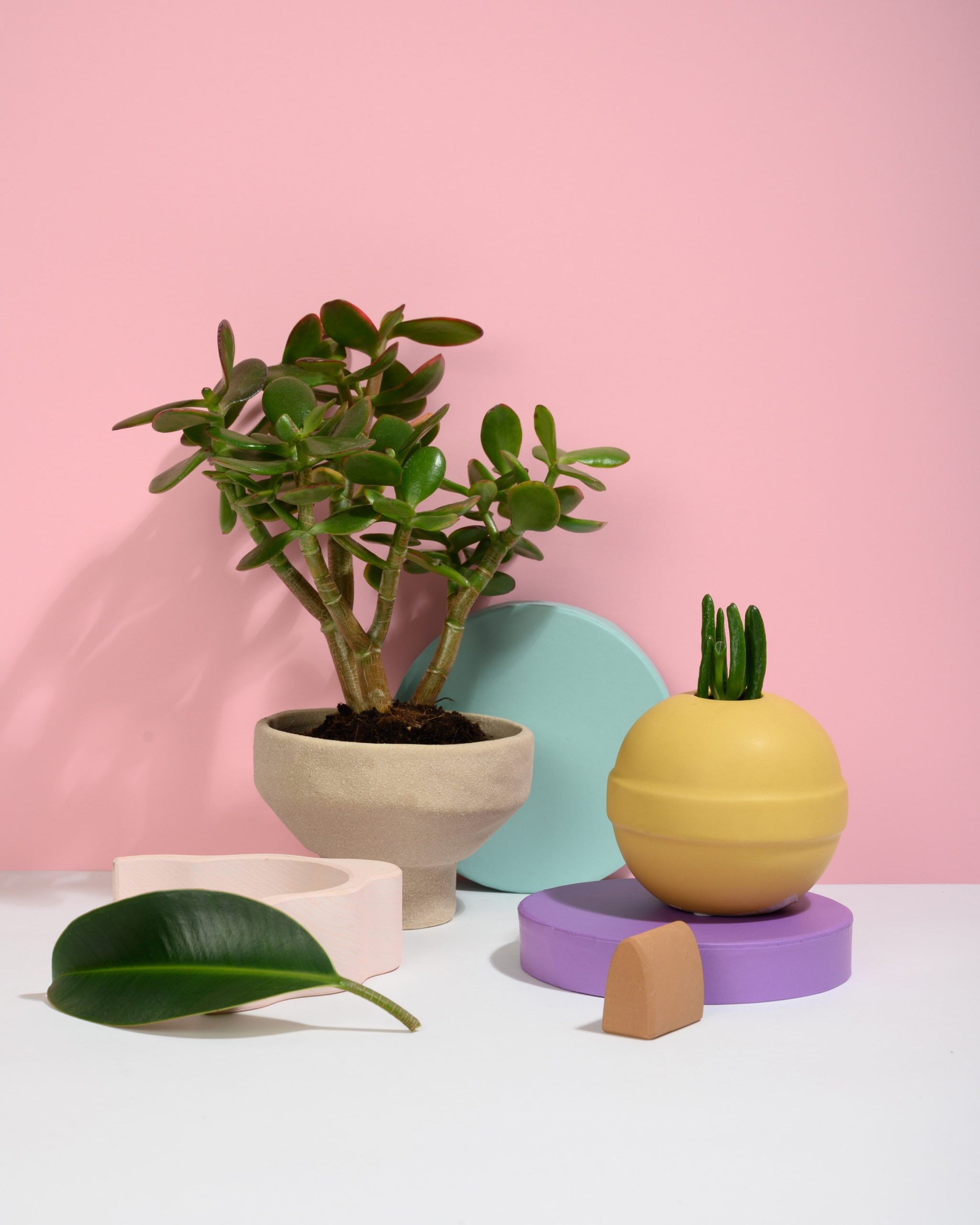 El árbol de la suerte