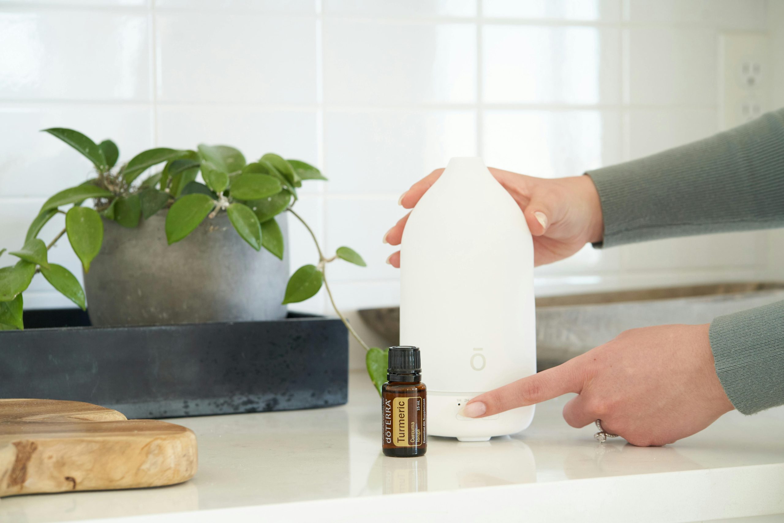 Cuidados de las Plantas de Interior en Verano