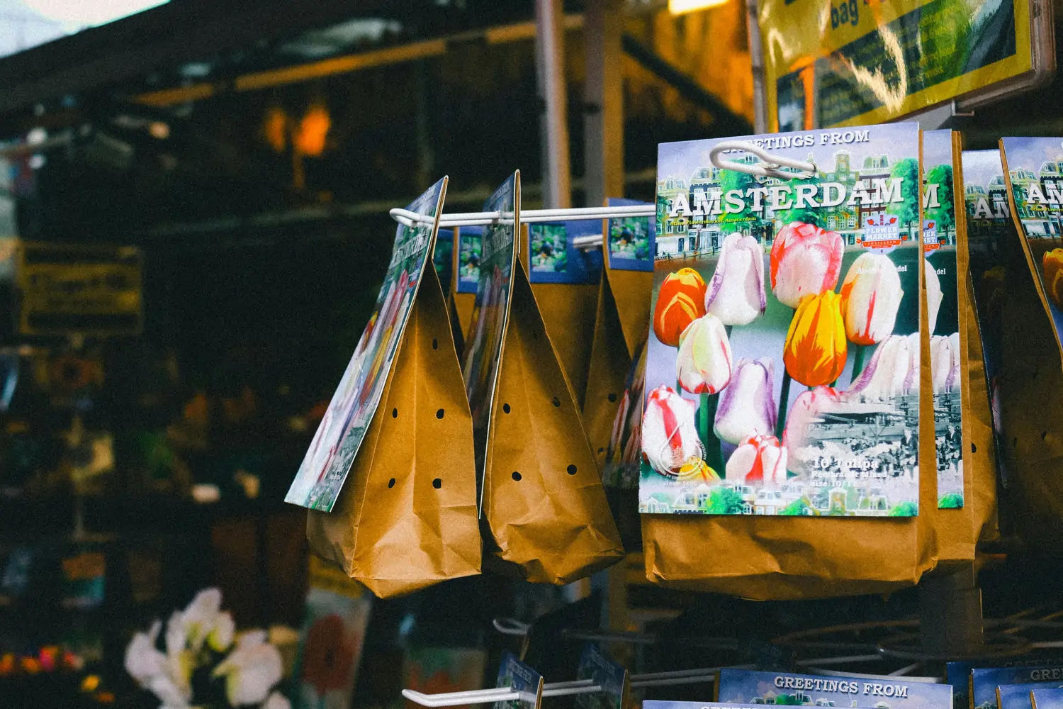 Plantar y cuidar bulbos en otoño: prepara tu jardín para primavera