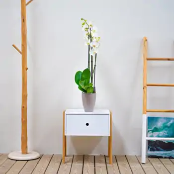 Macetas para decorar tu hogar