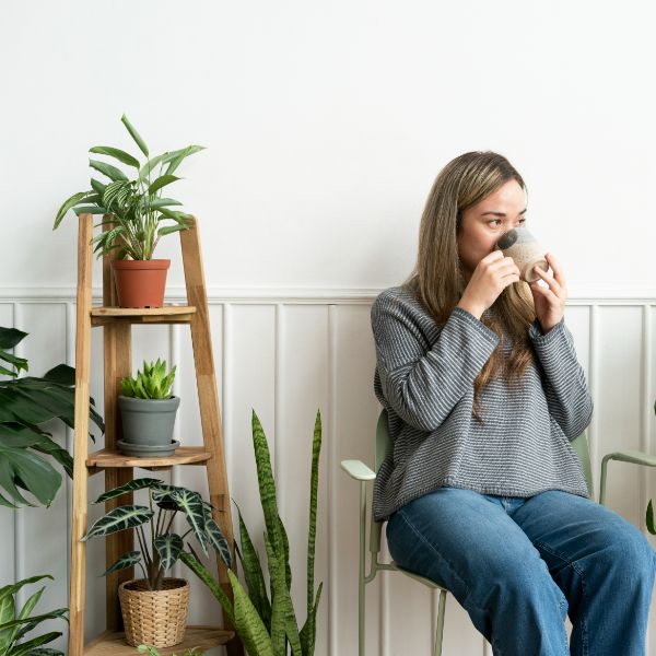 8 plantas que mejoran el ánimo