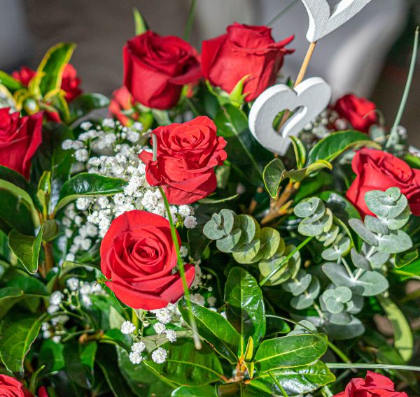 ¿Qué flor regalar para San Valentín?