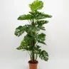 Plantes artificials