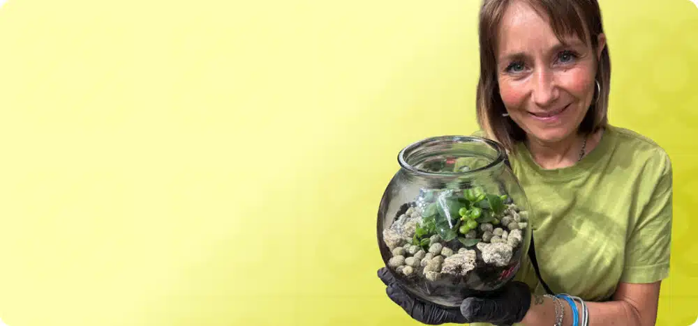 Taller Terrario Plantas Crasas