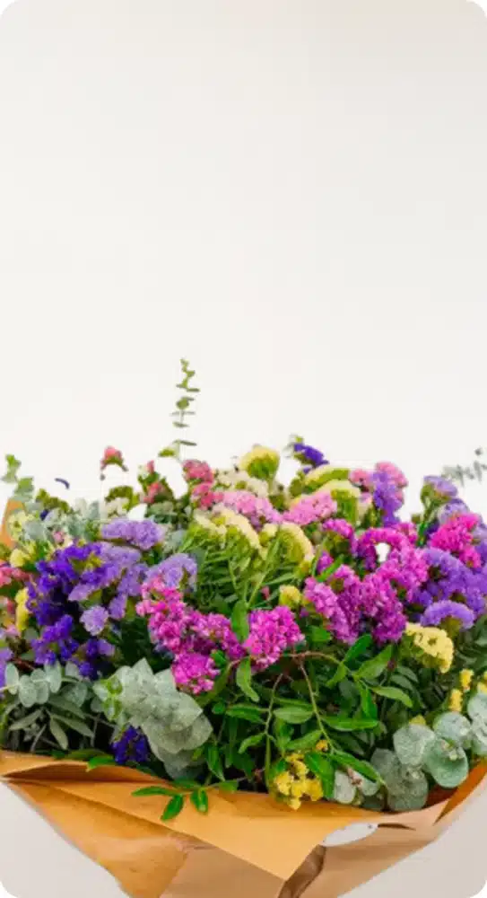 Flors eternas