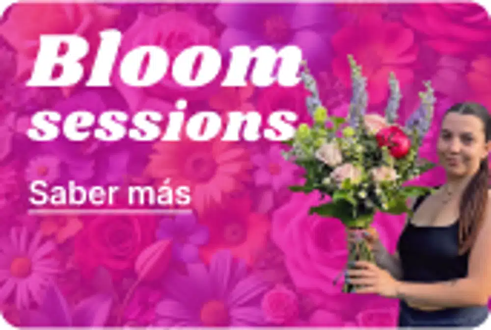 Bloom Sessions