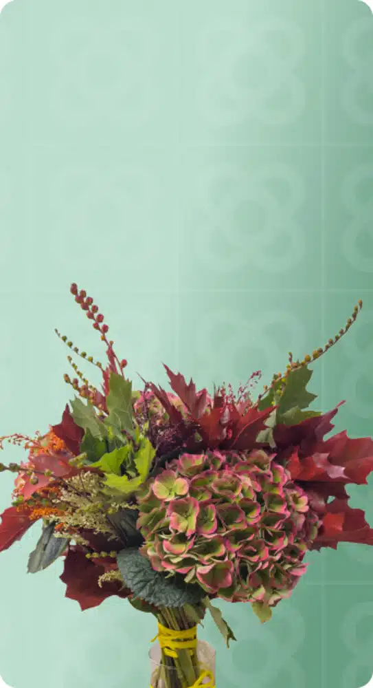 Hortènsies