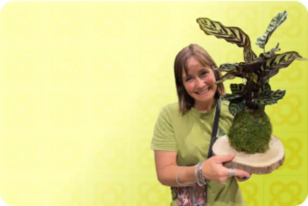 Taller Kokedama