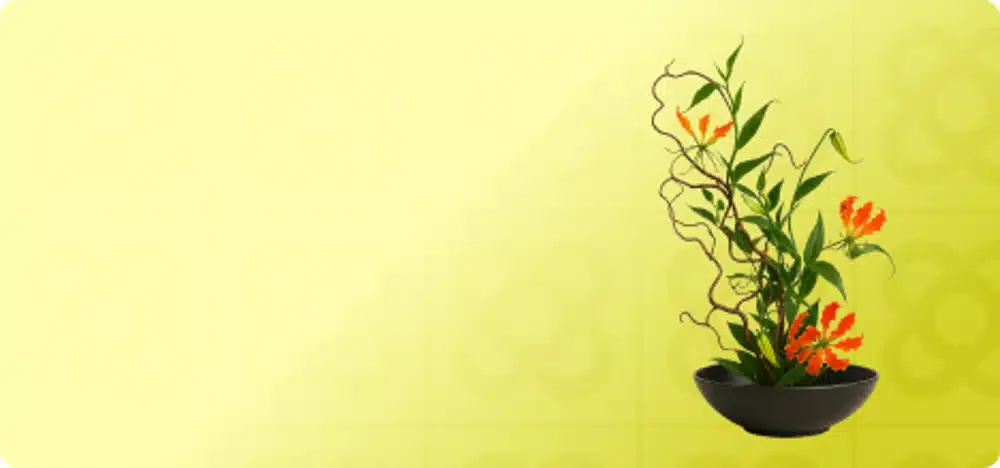 Taller Floral Ikebana