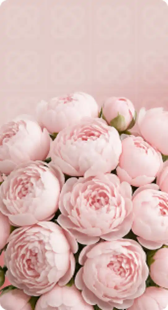 Peonias