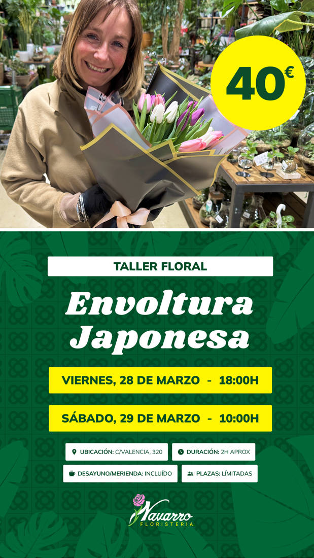 Taller envoltura japonesa