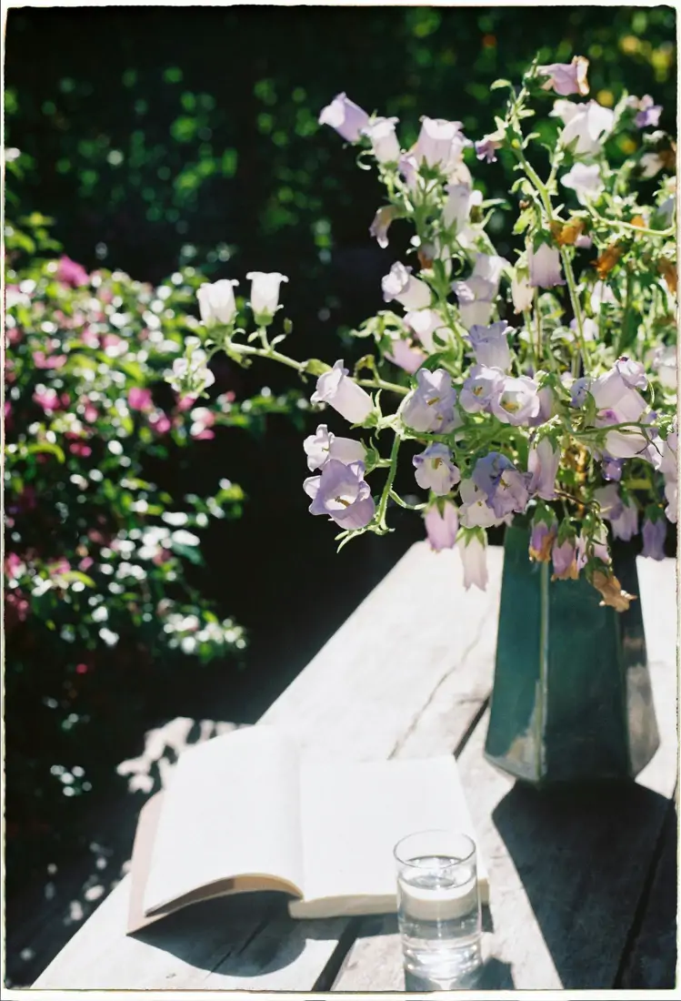 blog