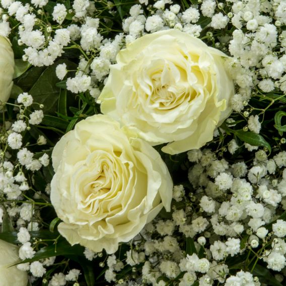 ramo de rosas blancas