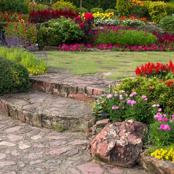 jardin con flores aromaticas