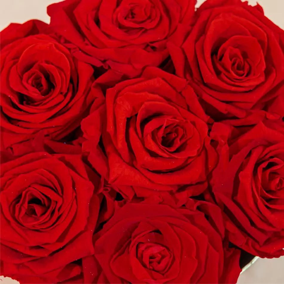 Caja de rosas preservada pequeña