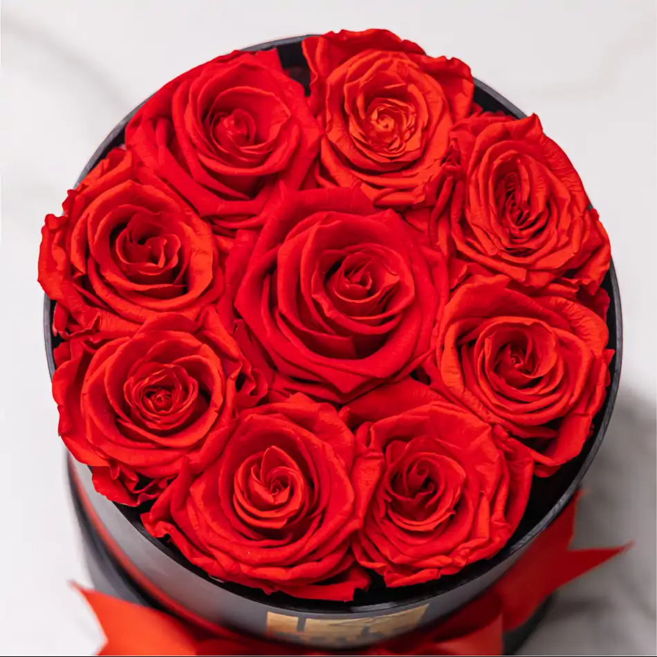 Caja de Rosas Preservadas - Lulu Rose Regalo Elegante para San Valentín.Sv12