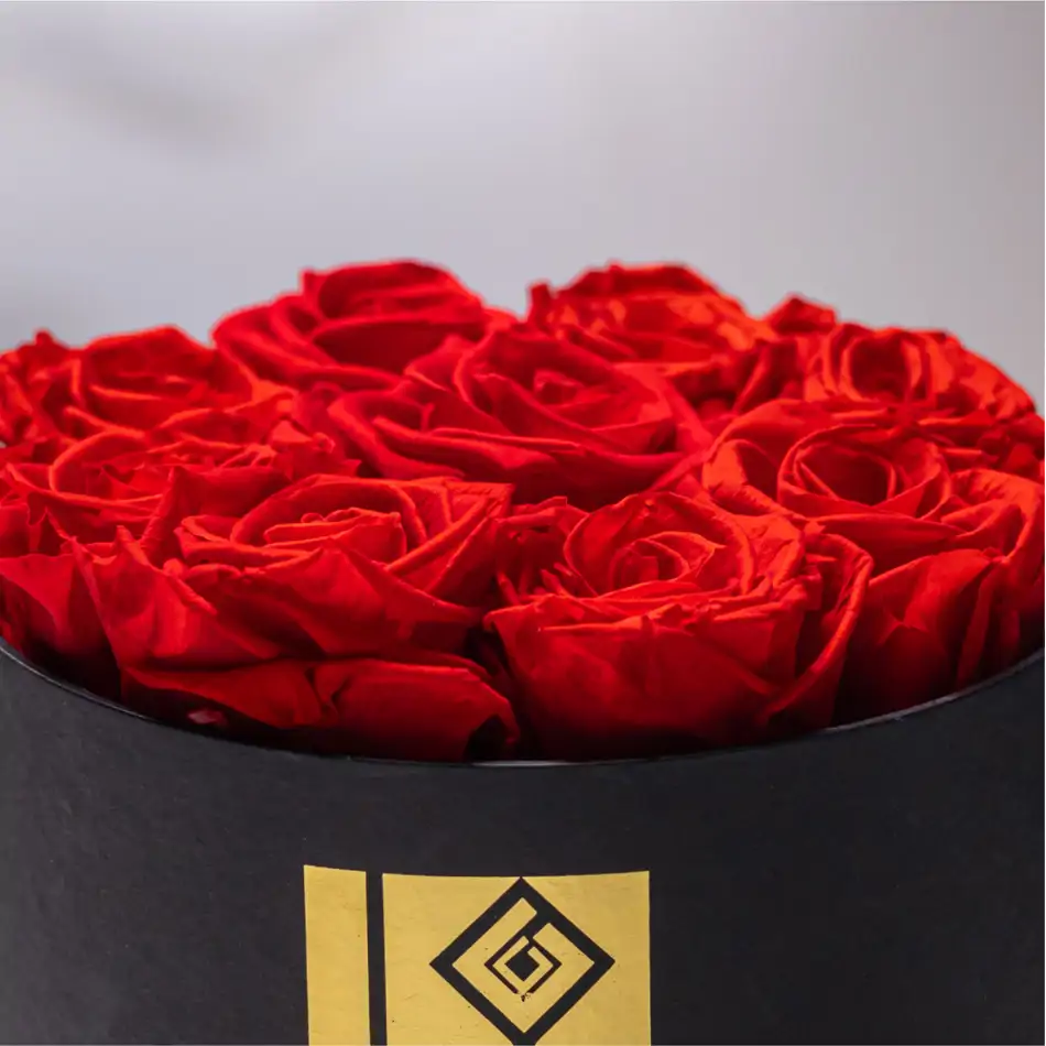 Caja de Rosas Preservadas - Lulu Rose Regalo Elegante para San Valentín.Sv12