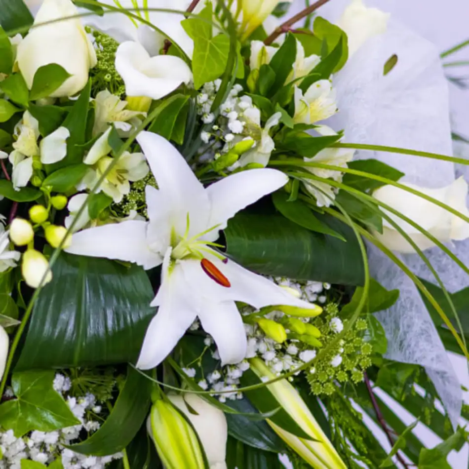 Cojín aire romántico flor de temporada tonos blancos