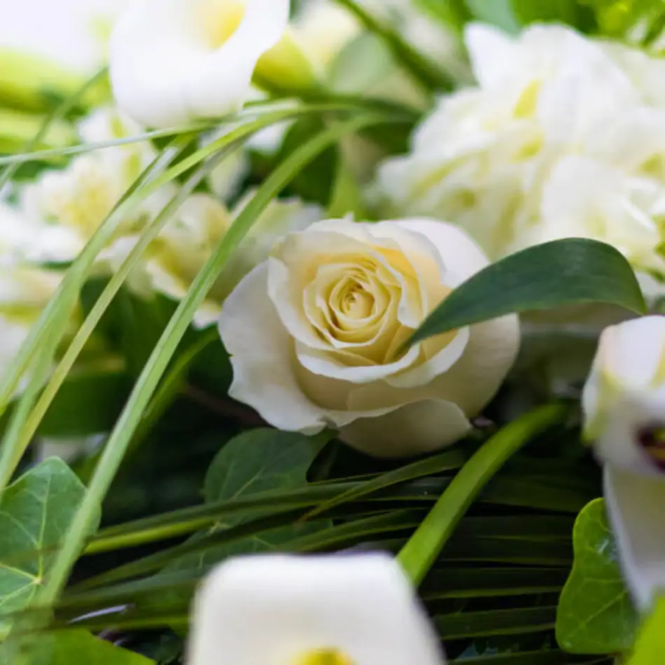 Cojín aire romántico flor de temporada tonos blancos