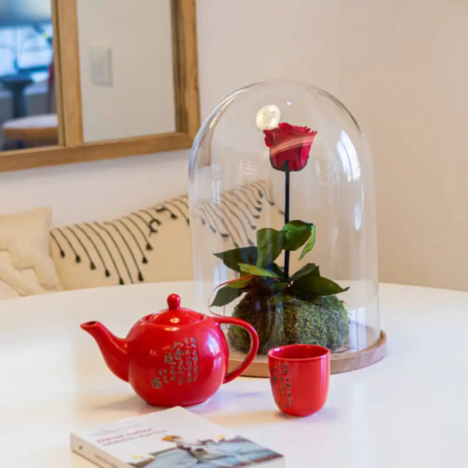 Cúpula de cristal con rosa liofilitzada en kokedama