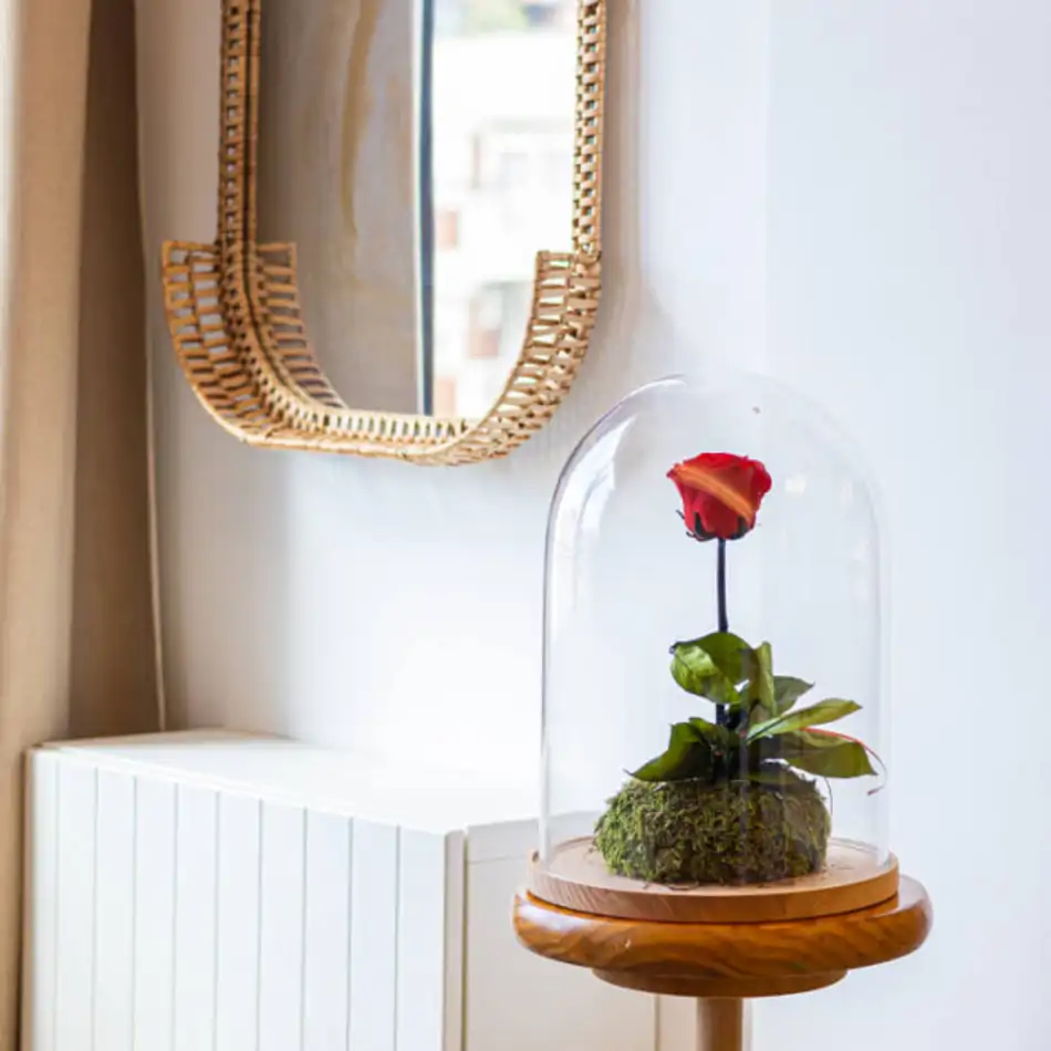 Cúpula de cristal con rosa liofilitzada en kokedama