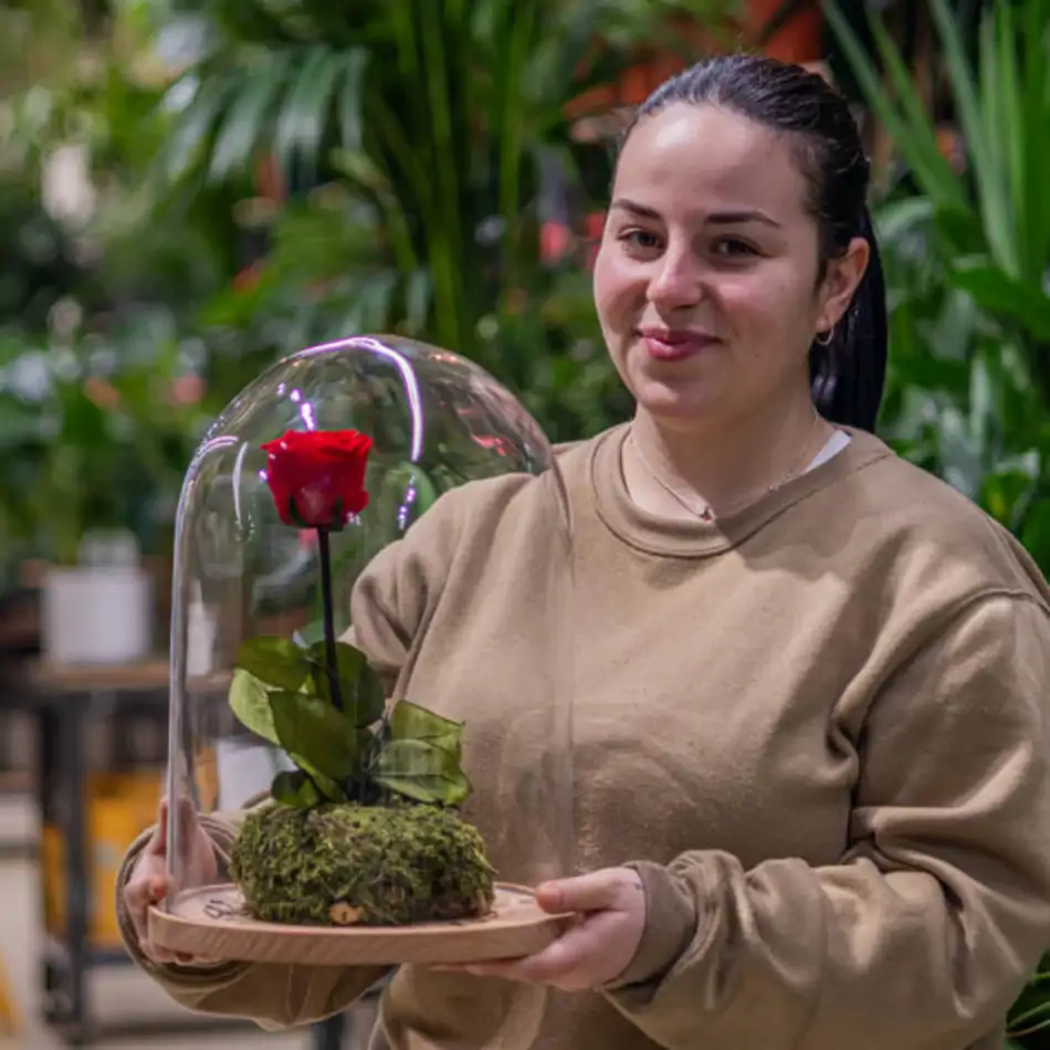 Cúpula de cristal con rosa liofilitzada en kokedama