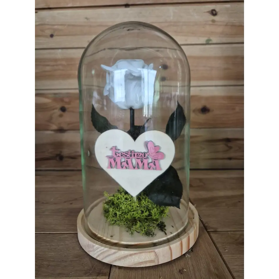Cúpula de cristal con rosa liofilitzada en kokedama