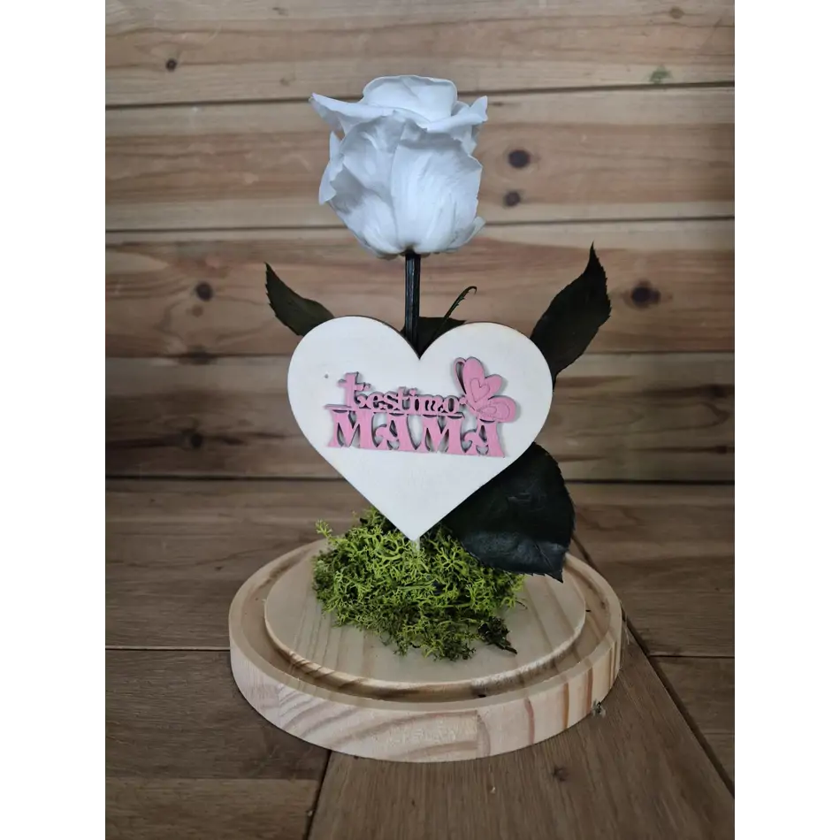 Cúpula de cristal con rosa liofilitzada en kokedama