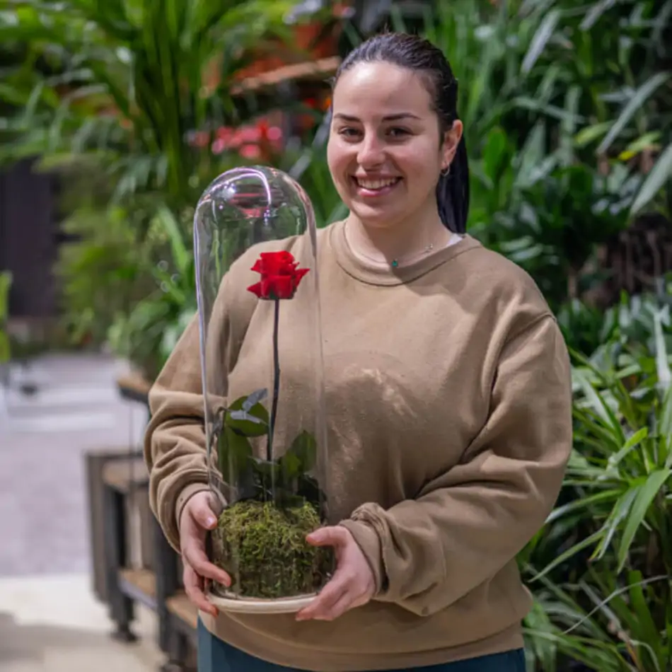 Cúpula de cristal con rosa liofilitzada en kokedama